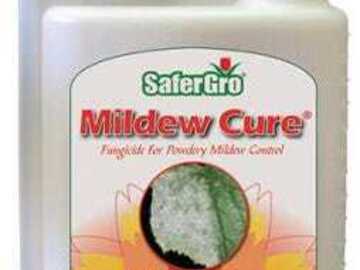 Sell: SaferGro Mildew Cure - Quart