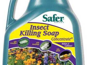 Safer Insect Killing Soap II Concentrate - 1 Gallon