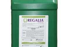 Sell: Regalia BioFungicide OMRI Listed - 2.5 Gal