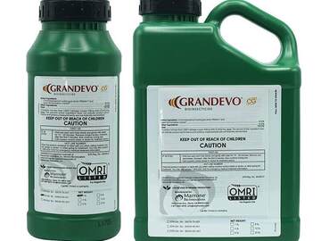 Marrone Bio Innovations Grandevo CG Bioinsecticide - OMRI Listed
