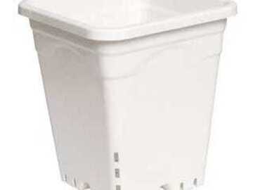 Vente: 12 inch x 12 inch Square White Pot, 12 inch Tall, 24 per case