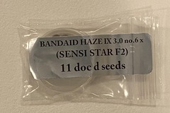 Vente: Doc D - Bandaid Haze IX 3.0 no.6 x (Sensi Star F2)