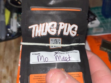 Venta: Thug Pug-Mo meat