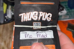 Venta: Thug Pug-Mo meat