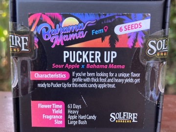 Sell: Pucker Up from Solfire