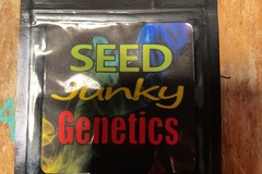 Vente: Seed junky genetics-kush mints f2