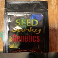 Vente: Seed junky genetics-kush mints f2