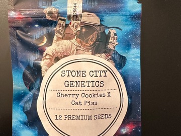 Sell: Stone City Genetics - Cherry Cookies x Cat Piss - Reg Photo