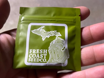 Fresh coast seed co.- gorilla butter