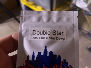 Top dawg seeds-Double star