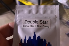 Venta: Top dawg seeds-Double star