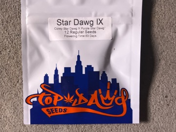 Venta: Top Dawg Seeds-star dawg IX