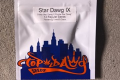 Vente: Top Dawg Seeds-star dawg IX