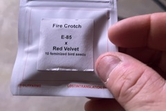 Venta: LIT farms-Fire Crotch