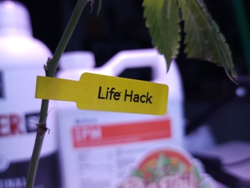 Sell: Life Hack (Compound Genetics | Free Shipping!)