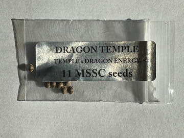 Sell: Doc D/Magic Spirit - Dragon Temple (Temple x Dragon Energy)