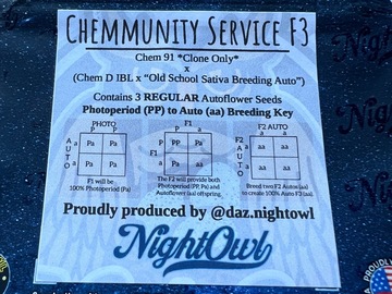 Sell: Chemmunity Service F4 (12 Autoflower M/F Seeds)