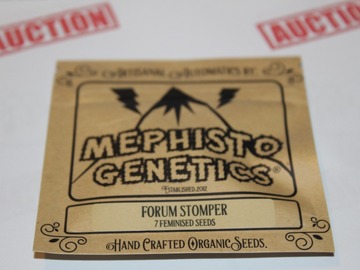 Auction: Mephisto Forum Stomper 7 Pack - Feminized Auto-Flowering