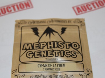 Auction: Mephisto Creme De La Chem (C.D.L.C) 7 Pack - Fem Auto