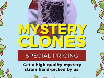 Sell: Mystery Clone Service (1 Clone Chosen at Random | +1 Free Clone!)