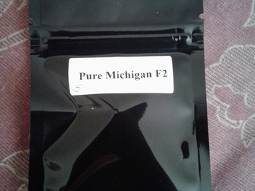 Vente: Pure Michigan F2 - 10 regular