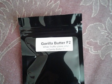 Vente: Gorilla Butter F2 ( White Truffle) 5 regular