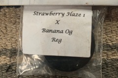 Venta: Strawberry Haze x Banana OG
