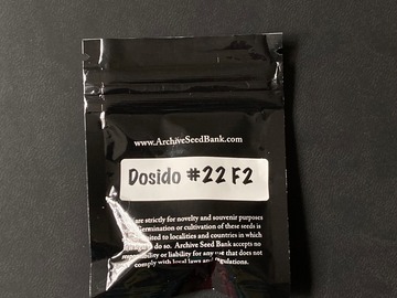 Sell: Dosido #22 F2 - Archive Seeds