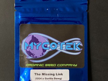 Sell: The Missing Link (GG4 Bx1) - Mycotek Seeds
