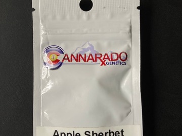 Sell: Apple Sherbet - Cannarado Genetics