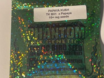 Sell: Phantom Fire Papaya Kush (triangle kush x Papaya)