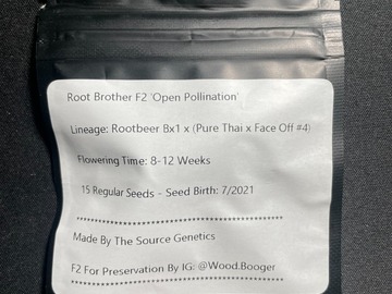 Sell: Root Brother F2 (15 Regular Seeds)