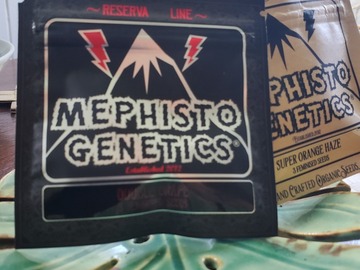 Sell: Double Grape - Mephisto Genetics plus free pack