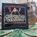 Sell: Double Grape - Mephisto Genetics plus free pack