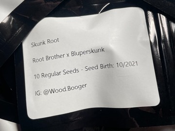 Sell: Skunk Root (Root Brother x Bluperskunk) - (10 Regular Seeds)