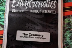 Vente: The Creamery -Envy Genetics