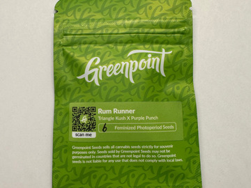 Auction: Greenpoint - Rum Runner (Triangle Kush x Purple Punch)AUCTION