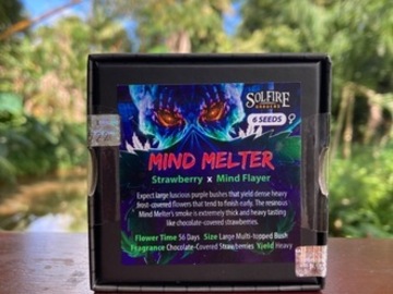 Auction: (AUCTION) Mind Melter from Solfire