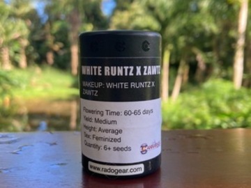 Auction: (AUCTION) White Runtz x Zawtz from Cannarado