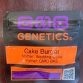 Auction: (AUCTION) Cake Burger from 808