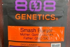 Auction: (AUCTION) Smash Burger from 808