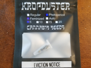 Sell: EVICTION NOTICE - 5 feminized seeds