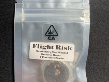 Sell: Flight Risk - CSI Humboldt (7 Female Seeds)