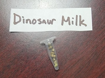Sell: Dino Milk 10 pack reg BOGO
