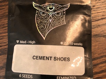 Sell: Cement Shoes from Cult Classics 6 photo fems