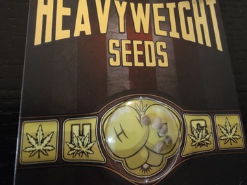 Sell: Heavyweight Seeds - Dream Machine - 5 pack FEMS