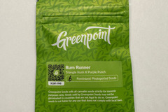 Auction: Greenpoint - Rum Runner (Triangle Kush x Purple Punch)AUCTION