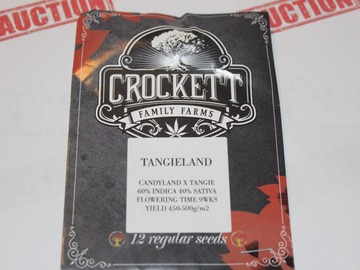 Sell: Crockett Family Farms - Tangieland 12 Pack Regular Photoperiod