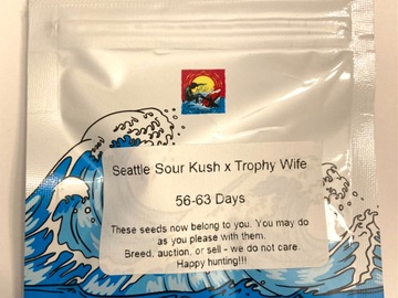 Sell: Seattle Sour Kush x Trophy Wife (SURFR SEEDS)