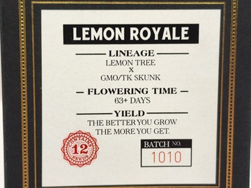 Vente: Swampboy Seeds Lemon Royale